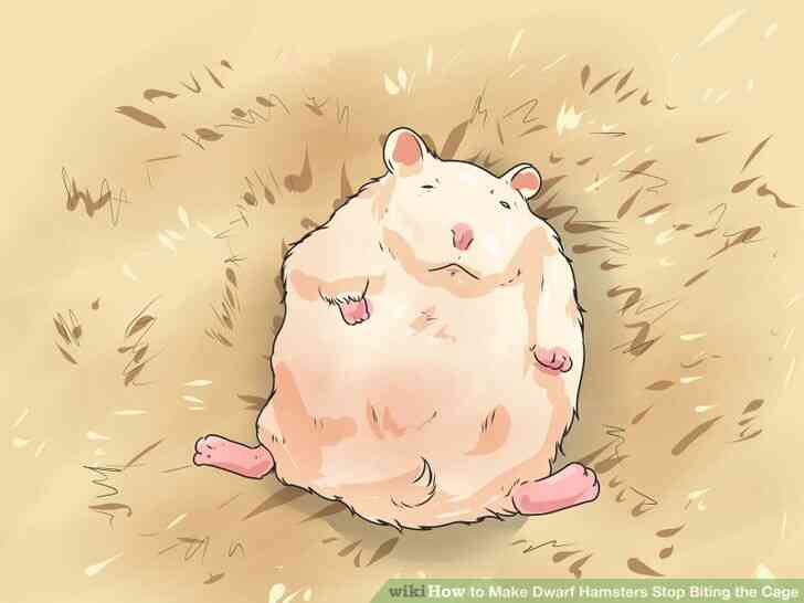 Image intitulée Faire des Hamsters Nains Arrêter de Mordre la Cage de l